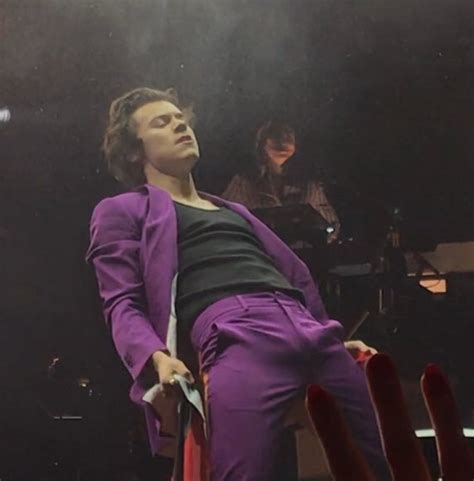 harry styles dick pic|Best Celebrity Bulge Photos